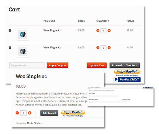 PayPal Plugin Tools - PayPal for WooCommerce