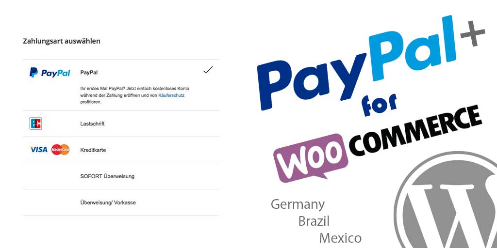 Paypal Plus For Woocommerce Angelleye