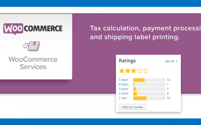 WooCommerce Services – The Good, The Bad, and the Ugly